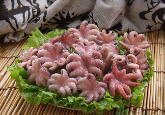 八爪魚(yú)煮多久才好？八爪魚(yú)需要煮多久？