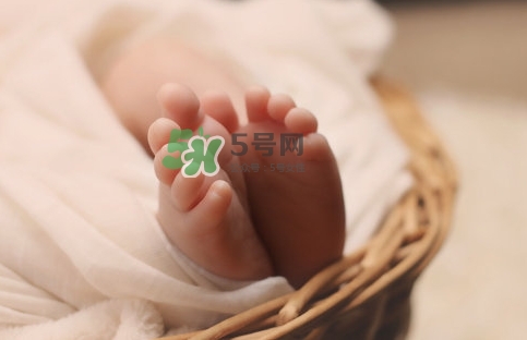 孕婦怎么吃燕窩最好？哪些孕媽需要吃燕窩？