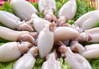 墨魚(yú)多少錢一斤 墨魚(yú)買哪種好