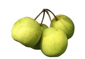 碭山梨好還是皇冠梨好？碭山梨和皇冠梨的區(qū)別