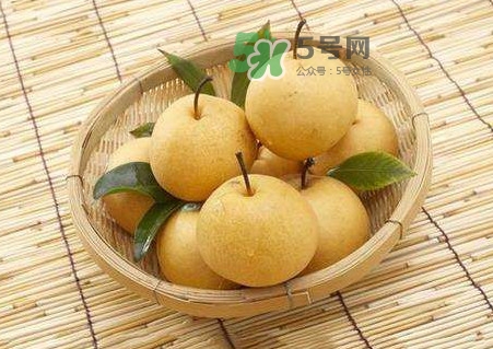 梨子怎么保存？梨子可以放冰箱嗎