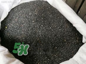 怎么看男人腎好不好？男人腎虛吃什么調(diào)理？