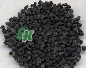 怎么看男人腎好不好？男人腎虛吃什么調(diào)理？