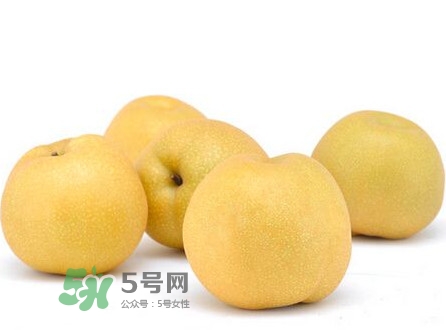 碭山梨什么時(shí)候成熟？碭山梨幾月份成熟