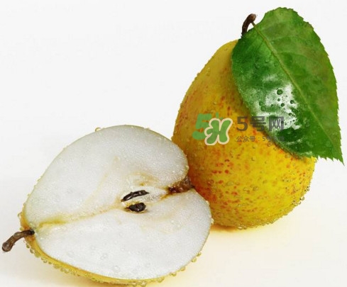 梨子什么時候吃最好？梨子什么時候成熟