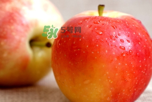 嘎啦蘋果多少錢？嘎啦果多少錢一斤