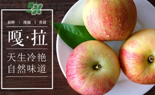 嘎啦蘋果多少錢？嘎啦果多少錢一斤