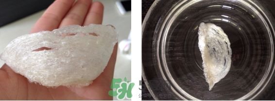 燕窩用什么鍋燉最好吃？燕窩用什么器具燉最好？