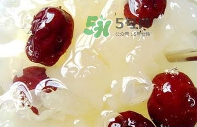 燕窩用什么鍋燉最好吃？燕窩用什么器具燉最好？