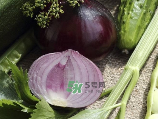 皮芽子發(fā)芽了可以吃嗎？新疆人為什么都愛吃皮芽子