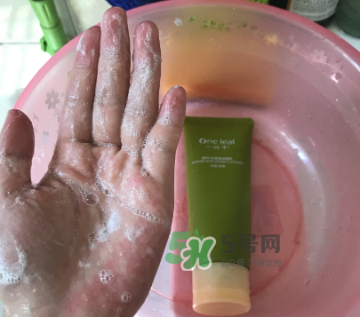 一葉子補(bǔ)水潔面乳怎么樣？一葉子補(bǔ)水洗面奶好用嗎？