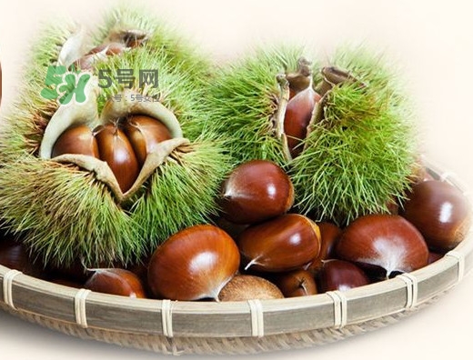 羅田是中國板栗之都嗎？羅田板栗什么時(shí)候成熟