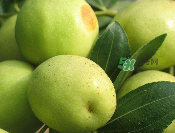 梨棗和冬棗哪個大？梨棗和冬棗的區(qū)別