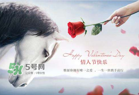 roseonly怎么樣？roseonly好看嗎？