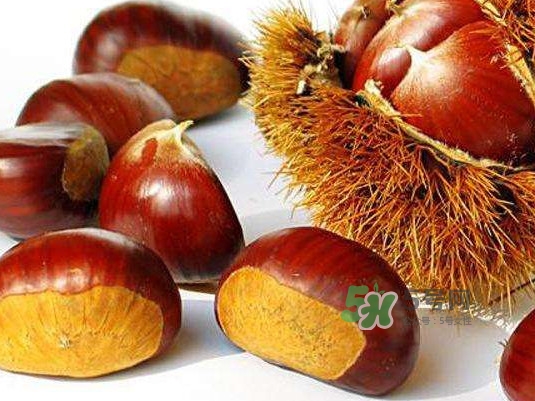板栗什么時(shí)候上市？板栗什么人不能吃