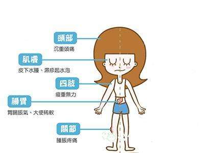 怎么知道身體濕氣重 好吃又祛濕食物和水果有哪些 怎么知道身體濕氣重 好吃又祛濕食物和水果有哪些