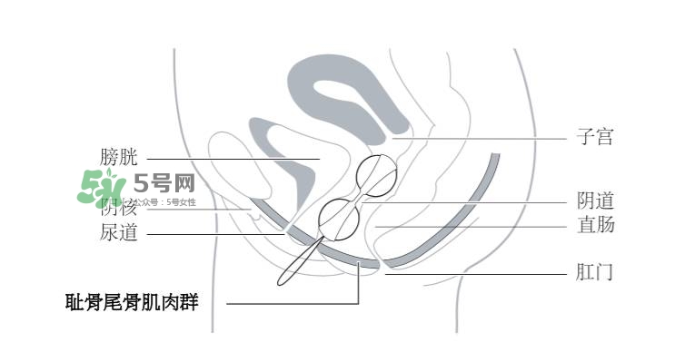 lelo露娜球如何使用方法？露娜球使用感受