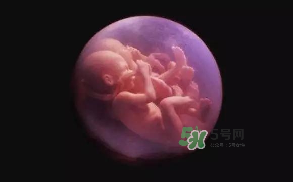 多胞胎是怎么生產(chǎn)的？多胞胎應選擇什么分娩方式