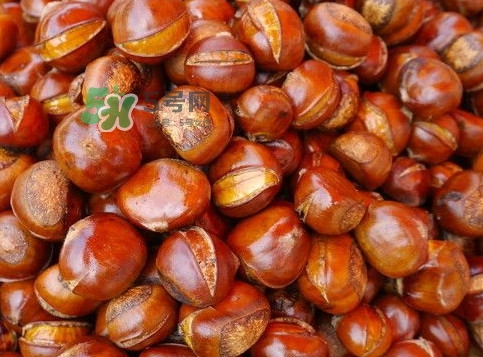 空腹能吃板栗嗎？空腹吃生板栗還是熟板栗好