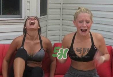 卡羅萊納死神辣椒中國有嗎？死神辣椒哪里有賣