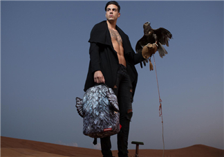sprayground翅膀書(shū)包多少錢(qián)？sprayground雙肩包什么價(jià)位？