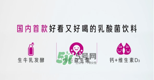 每日活菌乳酸菌多少錢一瓶？每日活菌乳酸菌好喝嗎？