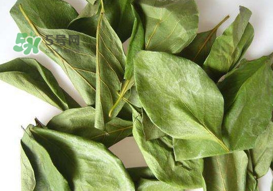 怎樣制作柿子葉茶？柿子葉茶的做法