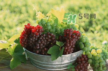 秋天成熟的水果有哪些？秋天吃水果有哪些禁忌