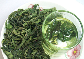 柿子葉能治胃病嗎？柿子葉什么時候采最好