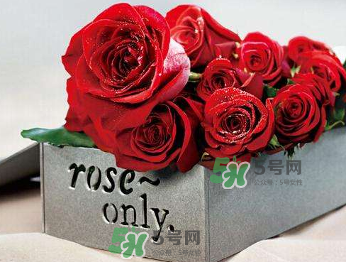roseonly怎么看真假？roseonly真假對(duì)比