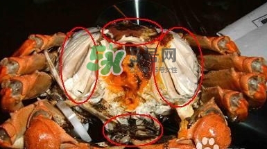 螃蟹怎么吃好吃？螃蟹和什么一起吃最好？