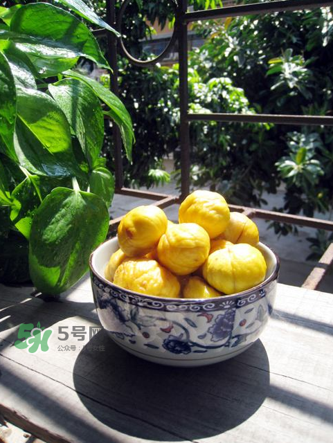 板栗吃多了會(huì)放屁嗎？板栗吃多了胃脹怎么辦？