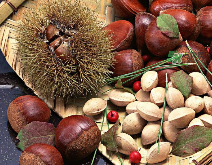 板栗能生吃嗎？板栗生吃好還是熟吃好？
