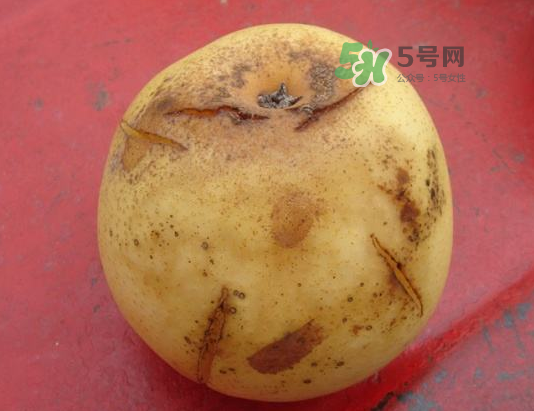 皇冠梨雞爪病能吃嗎？皇冠梨雞爪病怎么辦？