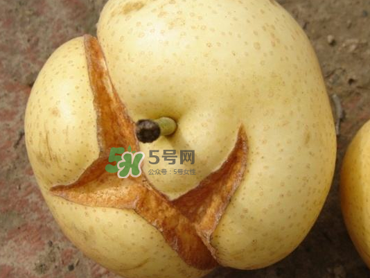 皇冠梨雞爪病能吃嗎？皇冠梨雞爪病怎么辦？