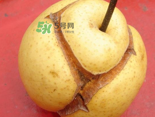 皇冠梨雞爪病能吃嗎？皇冠梨雞爪病怎么辦？