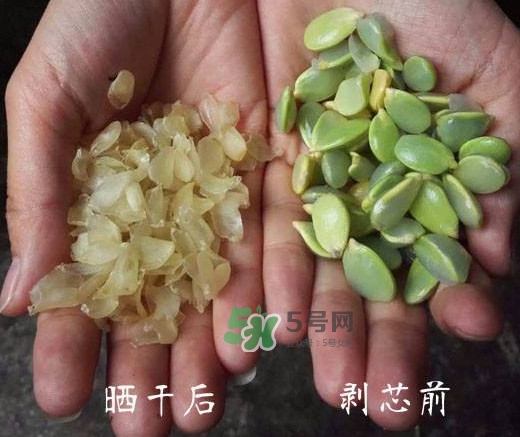 皂角米是什么味道？皂角米是什么顏色