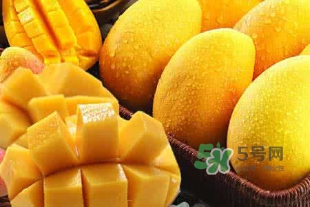 孕晚期能吃芒果嗎？孕晚期吃了很多芒果對胎兒好嗎？