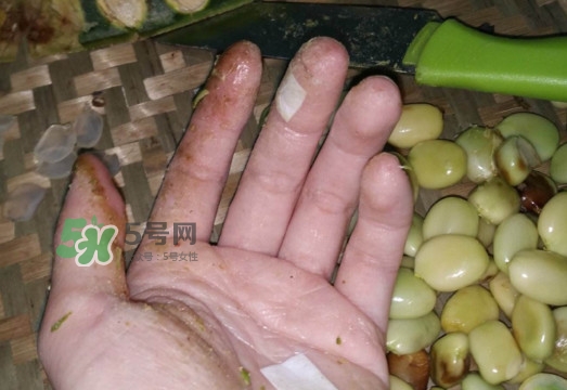 皂角米是怎么剝出來(lái)的？皂角米是酸性還是堿性