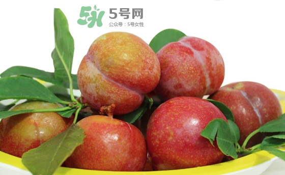 芙蓉李多少錢(qián)一斤？芙蓉李價(jià)格