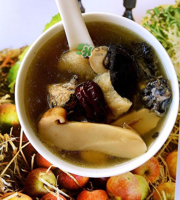 板栗和什么煲湯最好？板栗湯做法大全