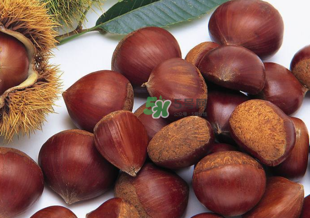 板栗和什么煲湯最好？板栗湯做法大全