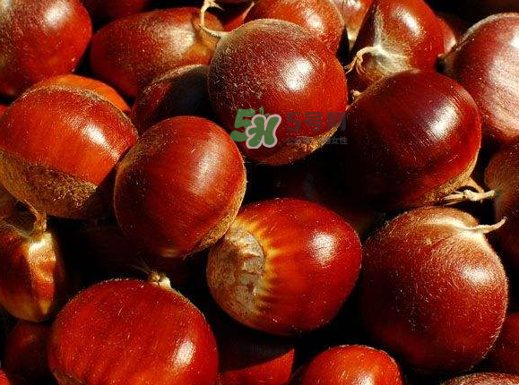 板栗生吃有什么好處？板栗生吃的功效