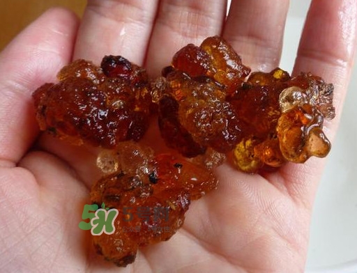 桃膠哪里有賣的？哪里產(chǎn)的桃膠最好