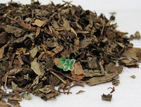 紫蘇葉不能和什么一起吃_紫蘇葉和什么食物相克 紫蘇葉不能和什么一起吃_紫蘇葉和什么食物相克