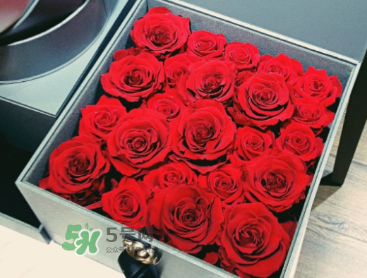 roseonly怎么買？roseonly如何買第二次？