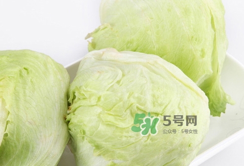 球生菜的營(yíng)養(yǎng)價(jià)值_球生菜的功效與作用及食用方法 球生菜的營(yíng)養(yǎng)價(jià)值_球生菜的功效與作用及食用方法