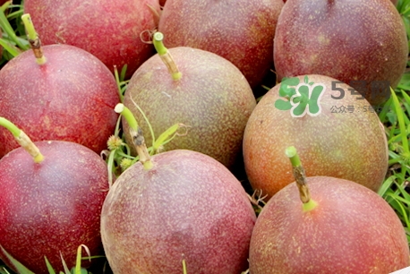 百香果的營養(yǎng)價值_百香果的功效與作用及食用禁忌 百香果的營養(yǎng)價值_百香果的功效與作用及食用禁忌