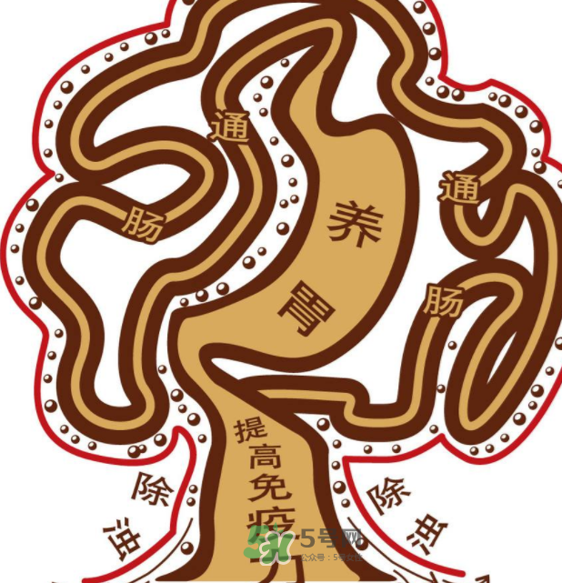 腸胃不好會引起頭暈嗎？頭暈與腸胃不好有關系嗎？