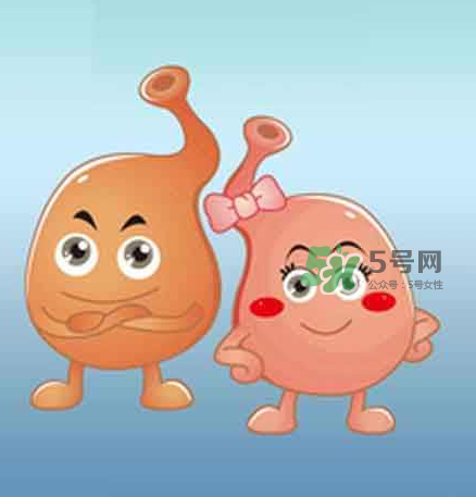 腸胃不好會影響月經(jīng)嗎?腸胃不好會導致月經(jīng)推遲嗎? 腸胃不好會影響月經(jīng)嗎?腸胃不好會導致月經(jīng)推遲嗎?